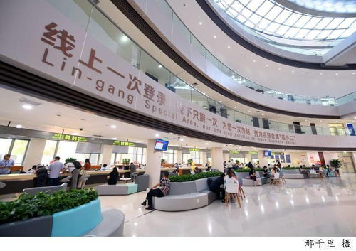 稅收 臨港服務(wù) 打通政策落地最后一公里