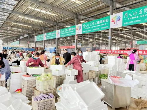 100萬斤蔬菜陸續(xù)抵滬 山東多地農(nóng)產(chǎn)品基地直供上海