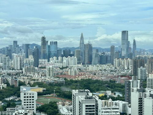 超上海1300億,2024年前7月深圳外貿進出口2.59萬億,暴漲29.6