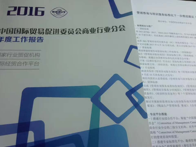 標準引領，智啟未來 李德偉出席2017年管理咨詢與培訓服務標準化研討會